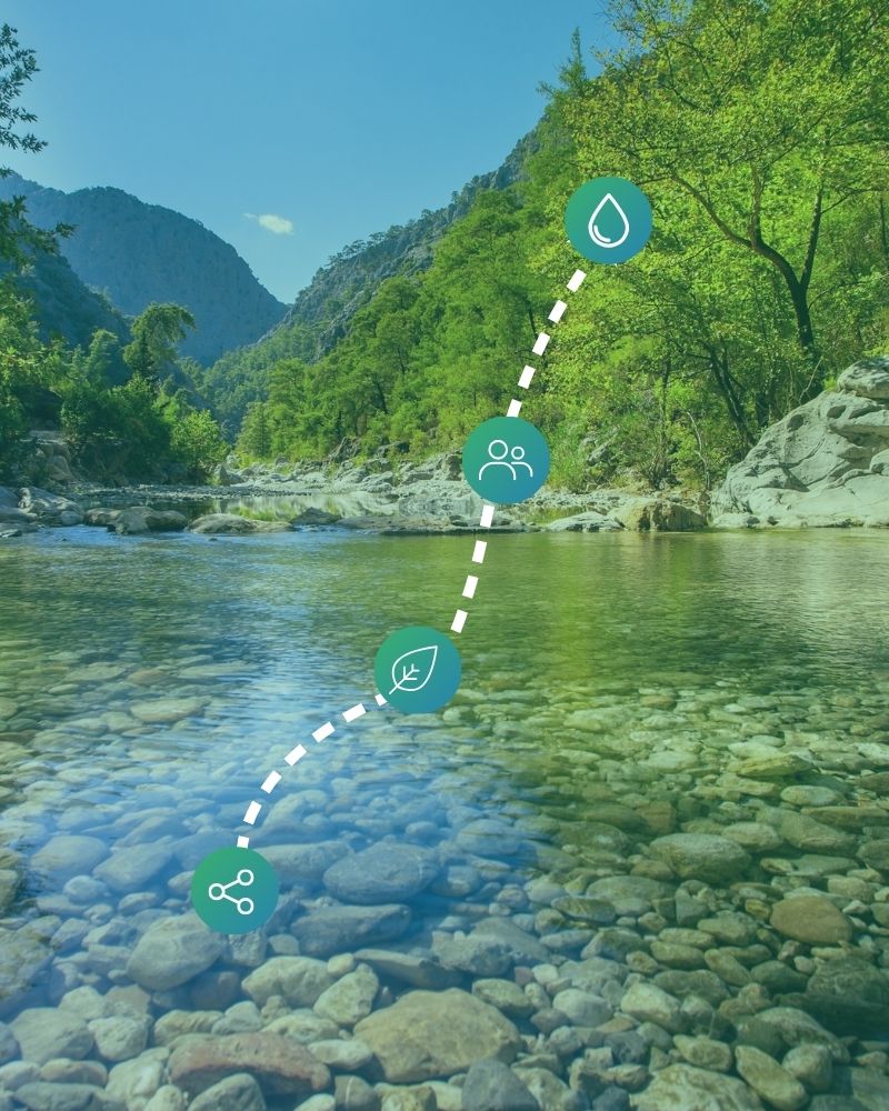 Nature-Based Solutions for water